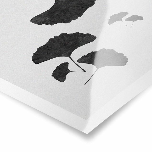 Poster Composizione di ginkgo in bianco e nero