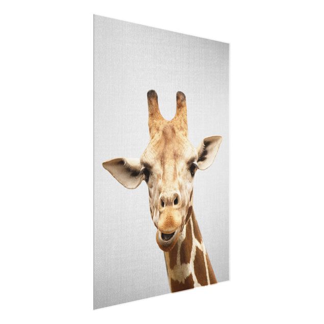 Quadri in vetro in bianco e nero Giraffa Gundel