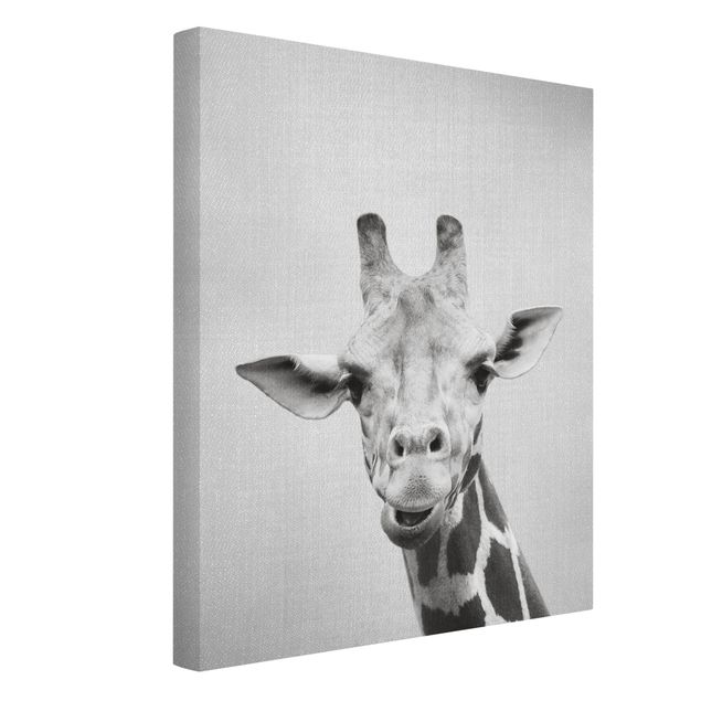 Quadro giraffe Giraffa Gundel Bianco e Nero