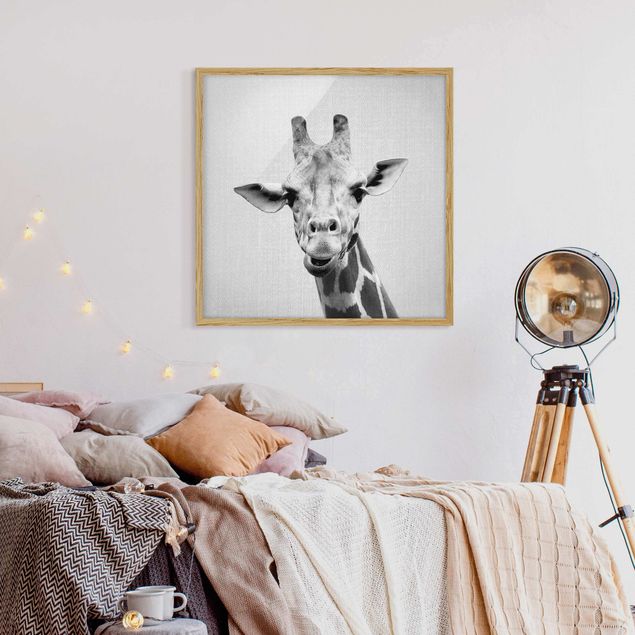 Quadro giraffe Giraffa Gundel Bianco e Nero