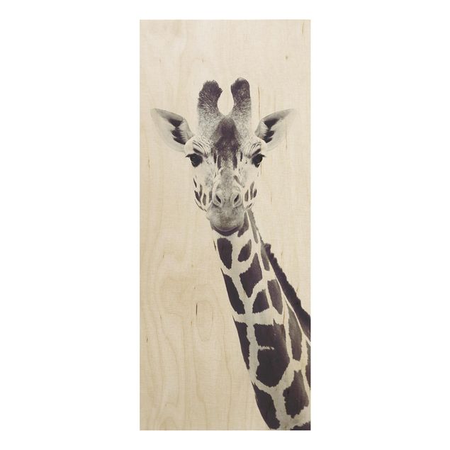 Quadri Ritratto di giraffa in bianco e nero