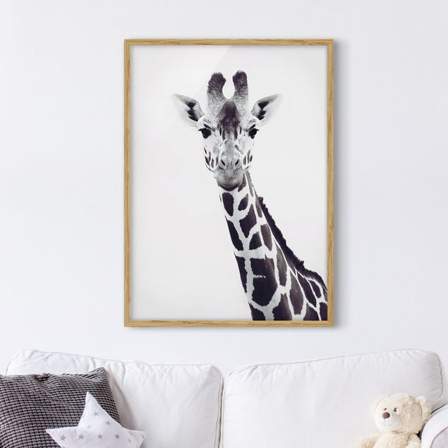 Quadro giraffe Ritratto di giraffa in bianco e nero