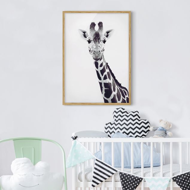 Quadri con cornice in bianco e nero Ritratto di giraffa in bianco e nero