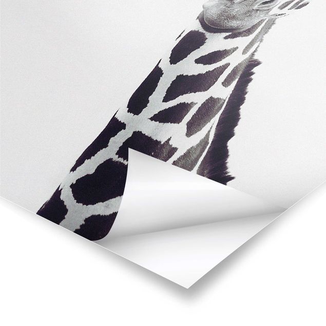 Stampe Ritratto di giraffa in bianco e nero