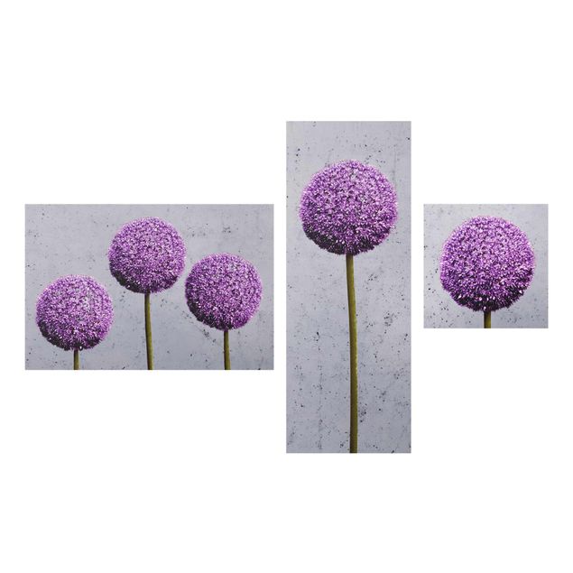 Quadri Allium fiore a testa tonda