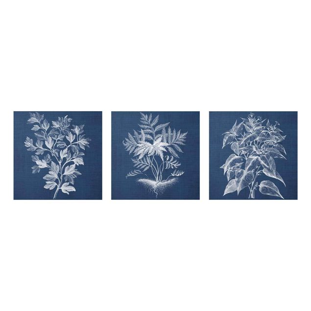 Quadro blu Set di studio sulle piante di jeans I