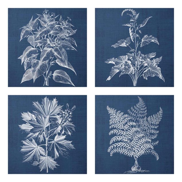Quadri blu Set di studio sulle piante di jeans II