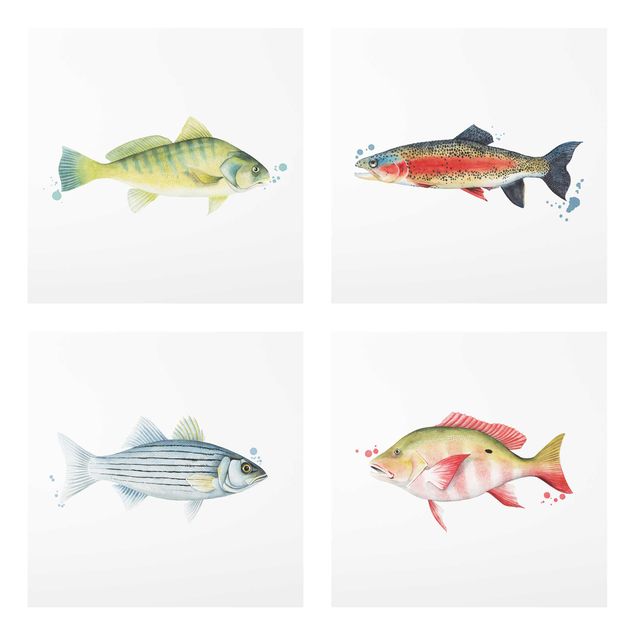 Quadri animali Trappola d'inchiostro - Set di pesci I