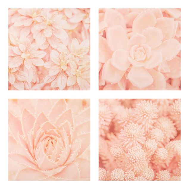 Quadri con fiori Magia dei fiori rosa