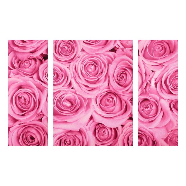 Quadri di fiori Rose rosa