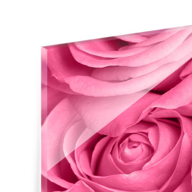 Glas Magnetboard Rose rosa