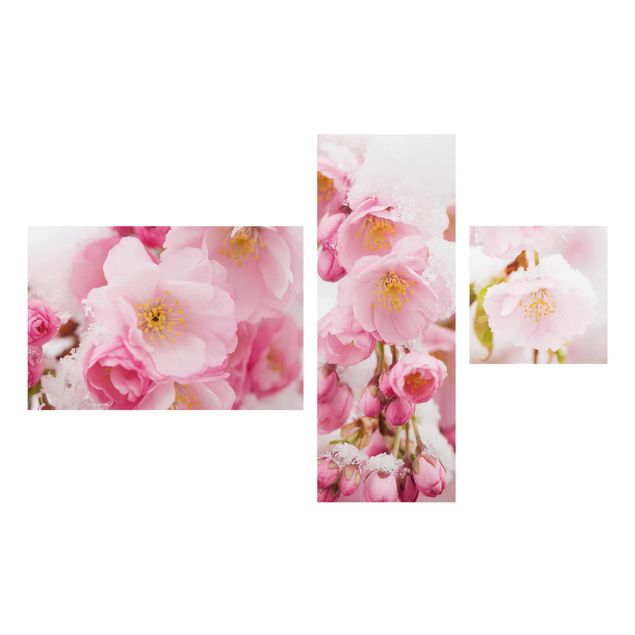 Quadri con fiori Fiori di ciliegio coperti di neve