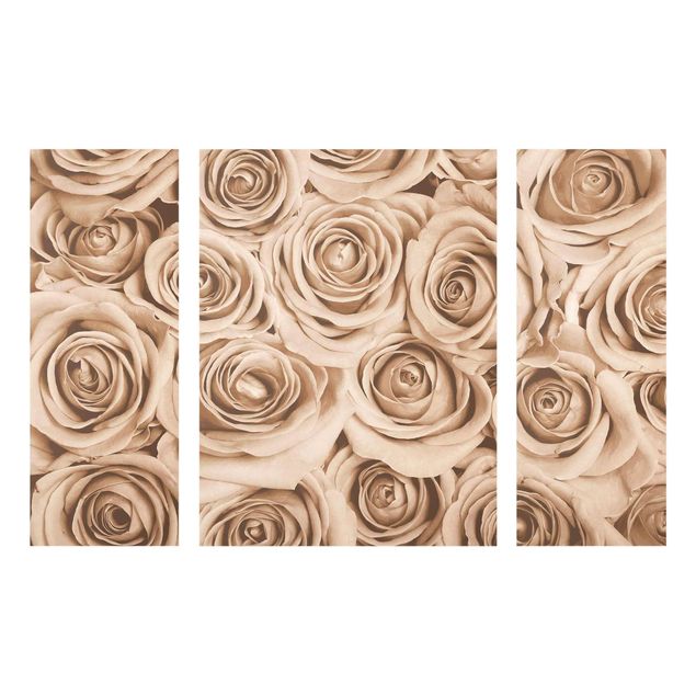 Quadri di fiori Rose vintage