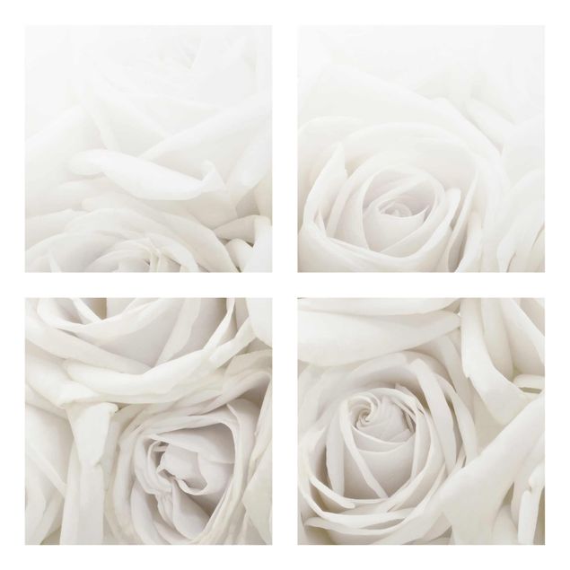 Quadri in vetro con fiori Rose bianche