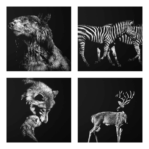 Quadri in vetro in bianco e nero Animali selvatici dal nero Set I