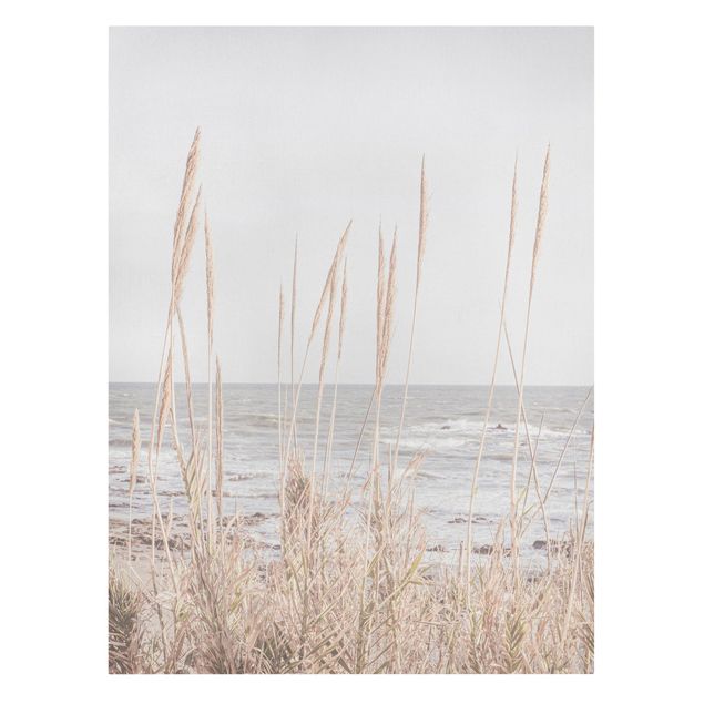 Quadri paesaggistici Grasses by the sea