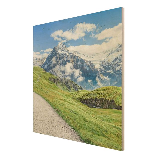 Stampe Panorama di Grindelwald