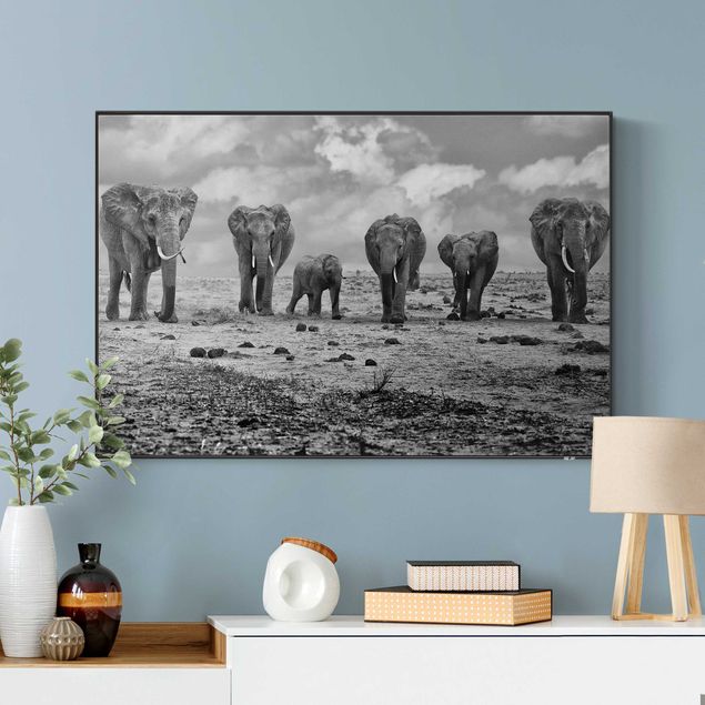 Quadri con elefanti Famiglia allargata