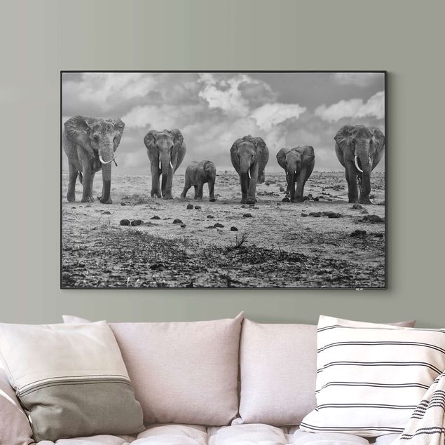 Quadri con elefanti Famiglia allargata