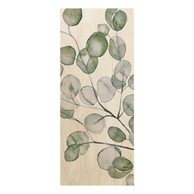 Quadri Monika Strigel Ramo di eucalipto verde ad acquerello