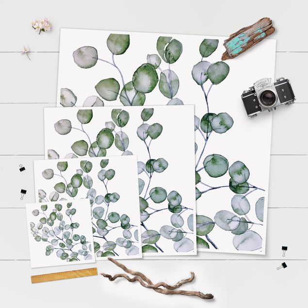 Poster - Ramo di eucalipto in acquerello verde