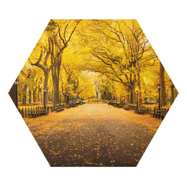 Stampe Autunno a Central Park