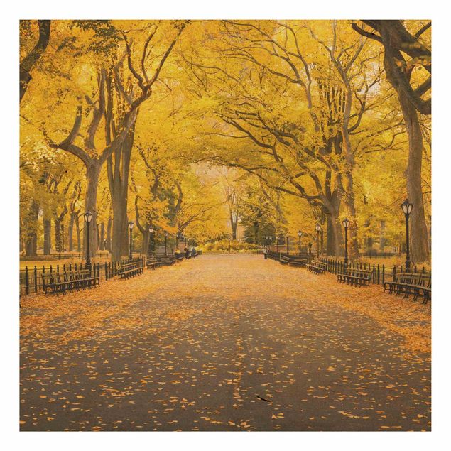 Stampe Autunno a Central Park