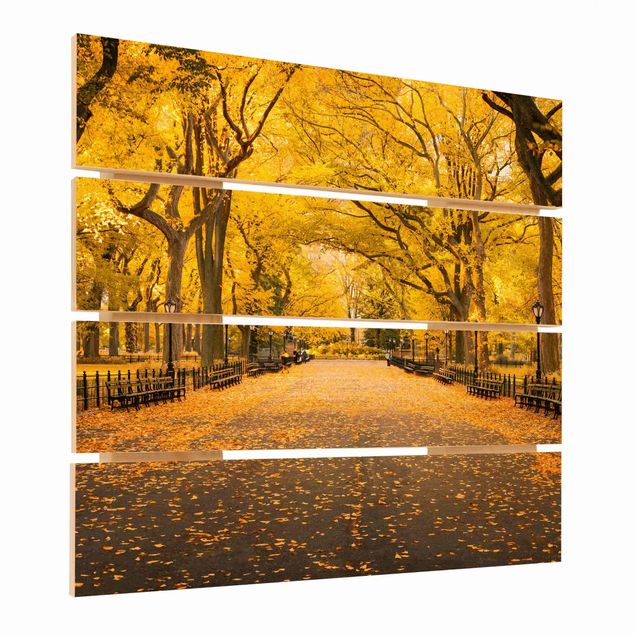 Stampa su legno - Autunno in Central Park