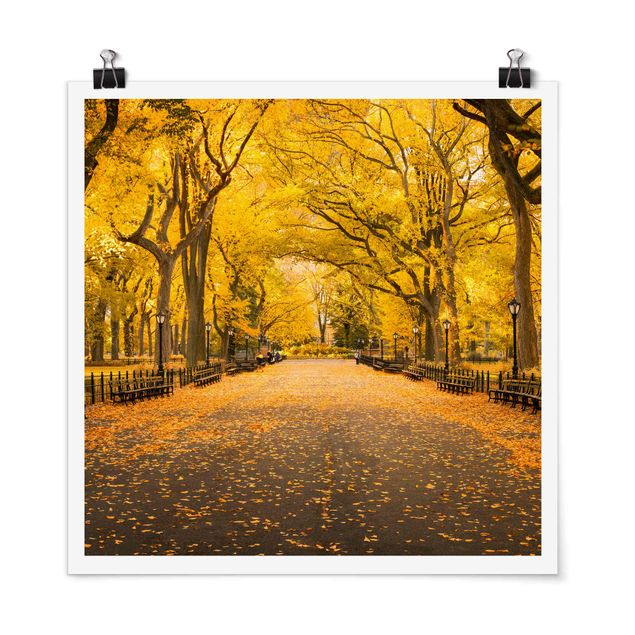 Poster architettura Autunno a Central Park