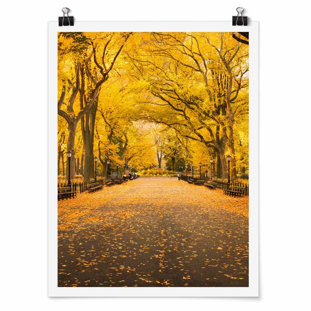 Poster architettura Autunno a Central Park