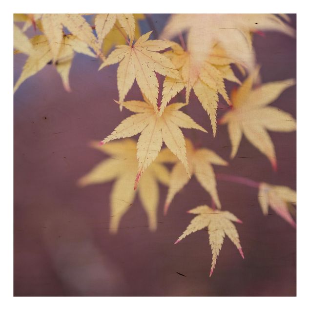 Quadri in legno con fiori Acero d'autunno