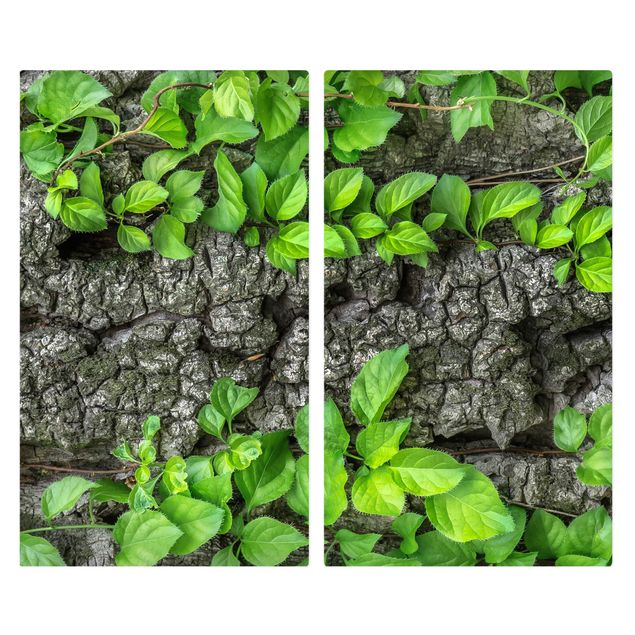 Coprifornelli in vetro - Ivy Tree Bark