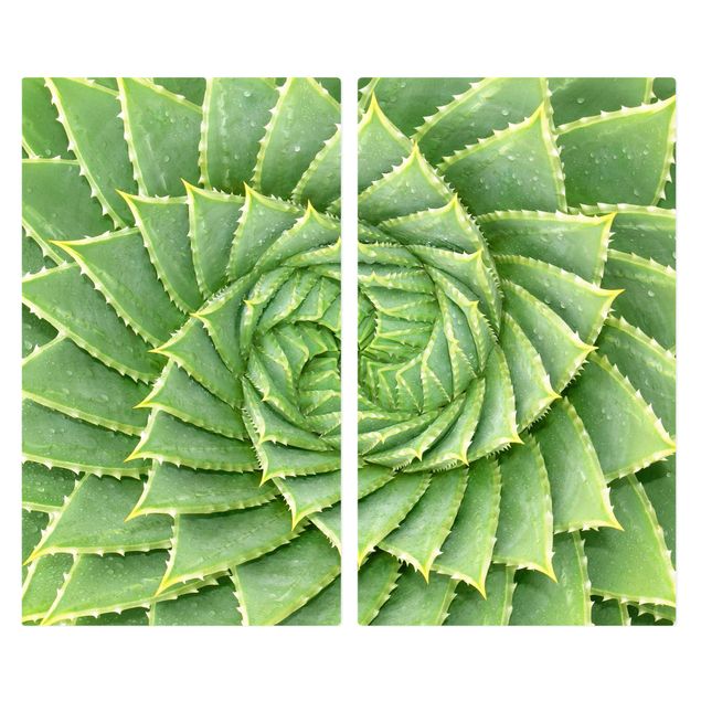 Coprifornelli in vetro - Spiral Aloe