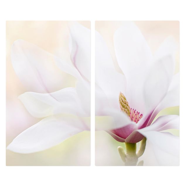 Coprifornelli in vetro - Delicate Magnolia Blossom