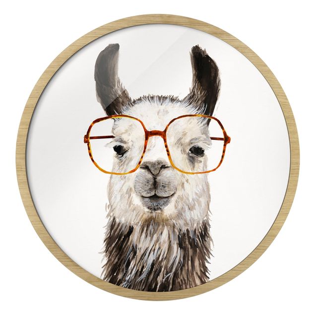 Stampe Hip Lama con occhiali IV