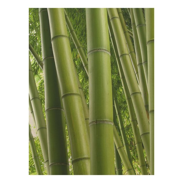 Quadri in legno con paesaggio Alberi di bambù n.1