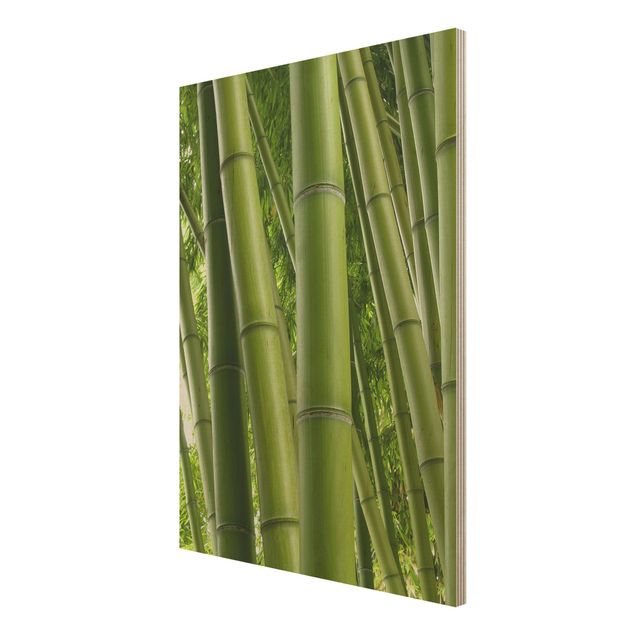 Stampe Alberi di bambù n.1