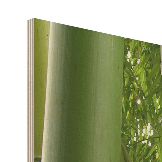Quadro in legno - Bamboo Trees No.1 - Quadrato 1:1