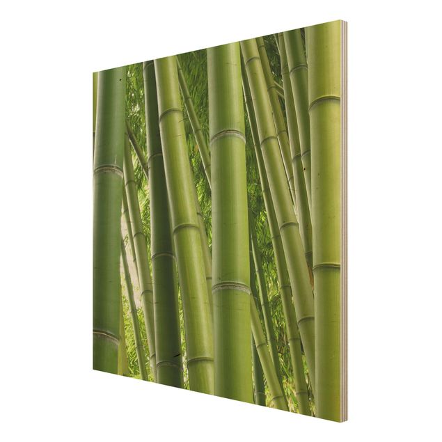Stampe Alberi di bambù n.1