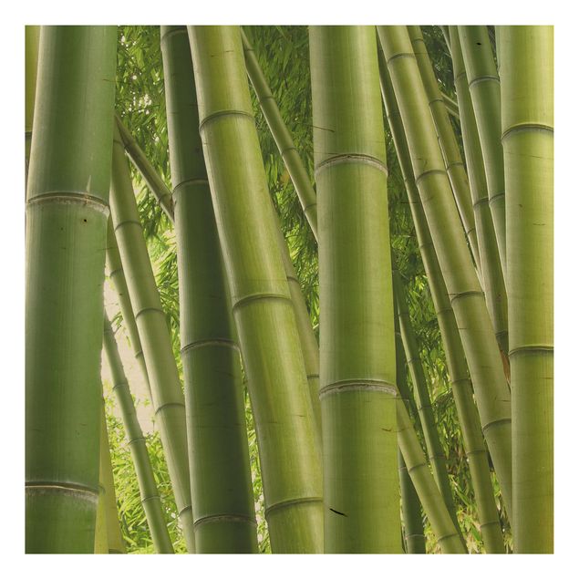 Quadri in legno con paesaggio Alberi di bambù n.1