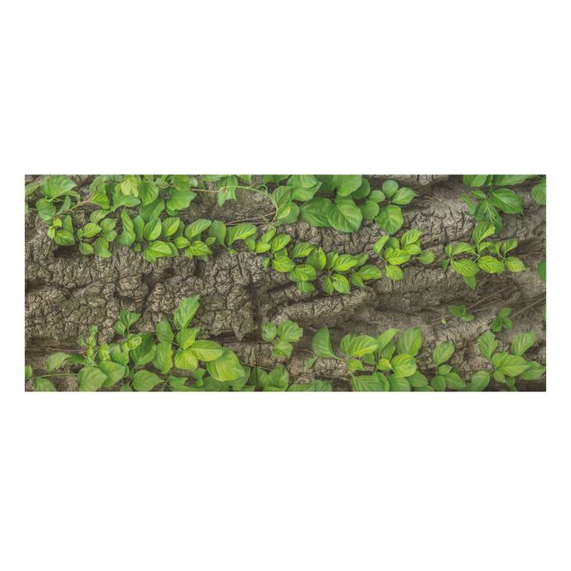 Quadri in legno con paesaggio Corteccia di edera