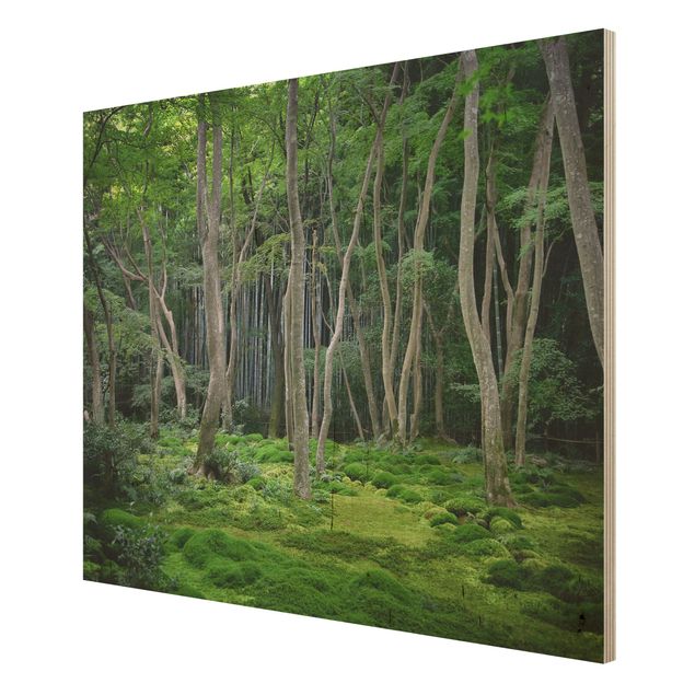 Quadri in legno con paesaggio Foresta giapponese