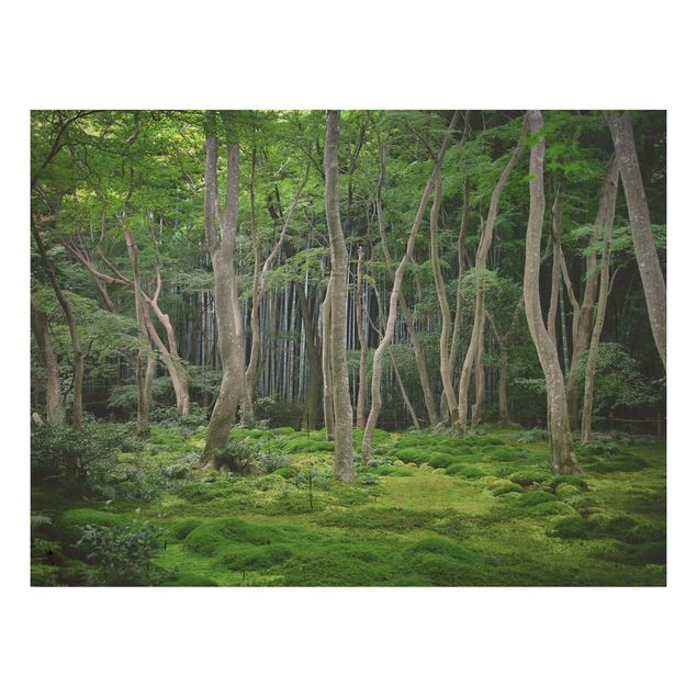 Quadri in legno con fiori Foresta giapponese