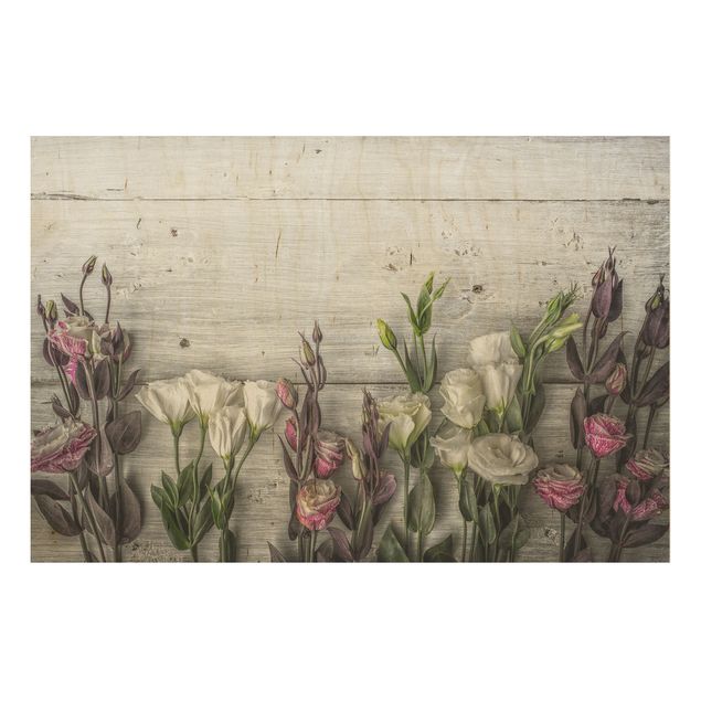 Stampe Tulipano Rosa su Legno Shabby