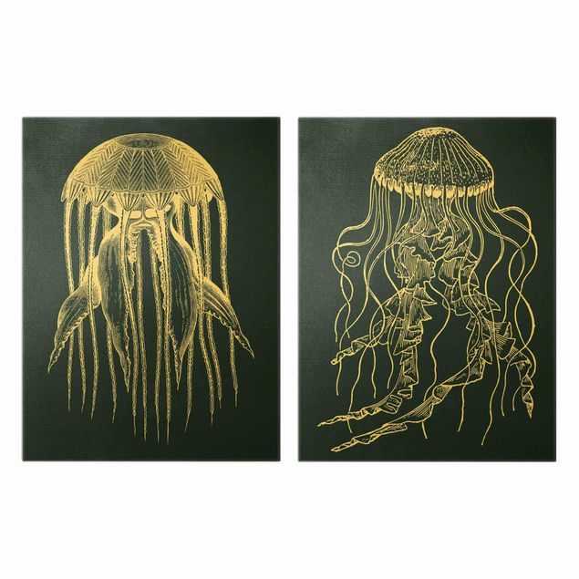 Quadro pesci Illustrazione Medusa Duo