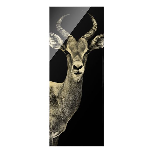 Stampe Antilope Impala in bianco e nero