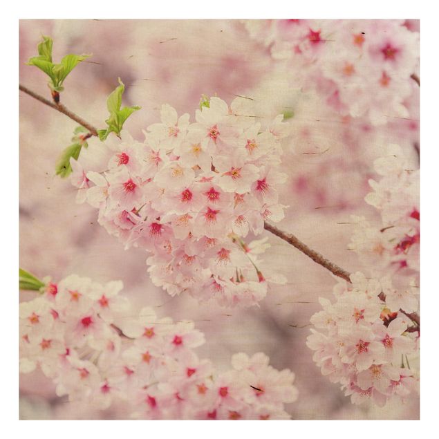 Quadri in legno con fiori Fioriture di ciliegio giapponesi