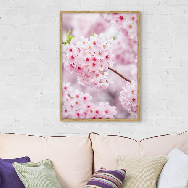 Quadri Asia Blossoms giapponesi ciliegia