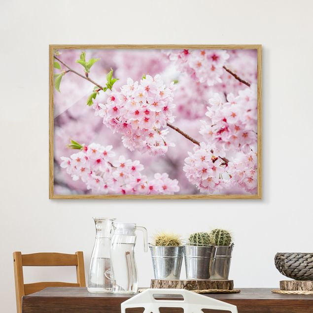 Quadri Asia Blossoms giapponesi ciliegia