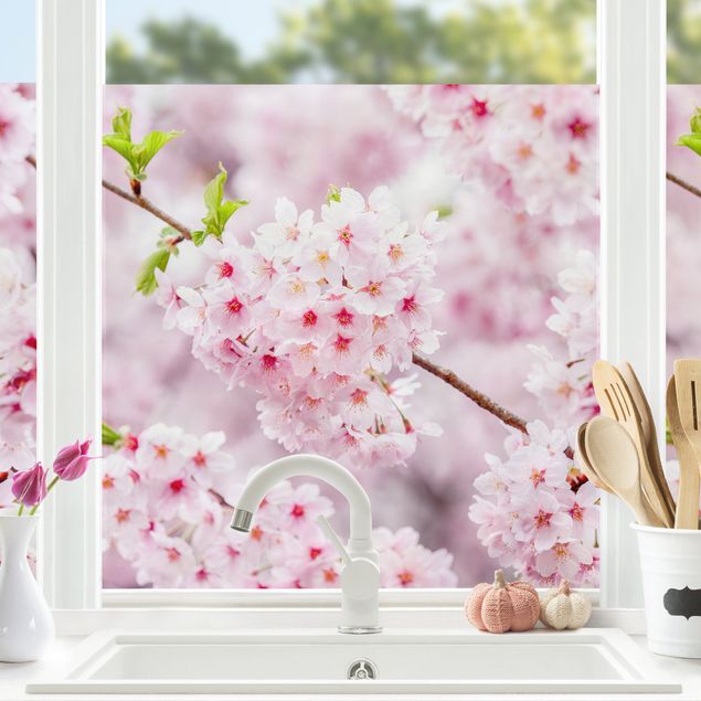Adesivi per finestre con architettura e skylines Fioriture di ciliegio giapponesi